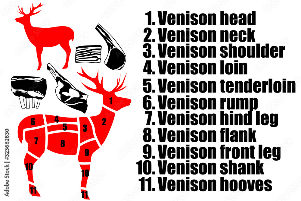 A set of four pieces of venison, the silhouette of a deer and how to