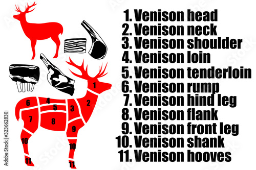 A set of four pieces of venison, the silhouette of a deer and how to carve the carcass. Part of the meat.