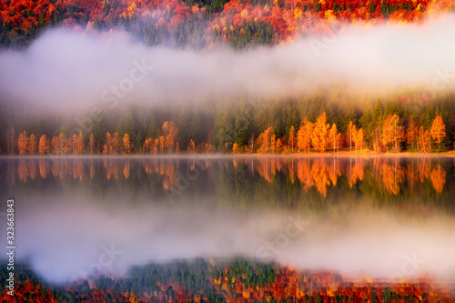 Beautiful autumn landscape with golden and copper colored trees in the mist, Sfanta Ana Lake, Harghita, Romania