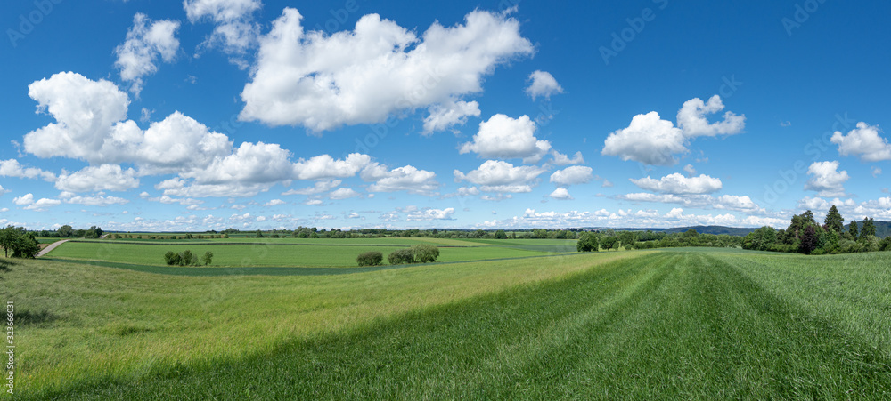 Ländliche Szene - Panorama einer idyllischen Landschaft im Frühling mit grünen Feldern und einigen Bäumen Ländliche Szene - Panorama einer idyllischen Landschaft im Frühling mit grünen Feldern und einigen Bäumen