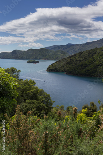 Marlborough Sound New Zealand