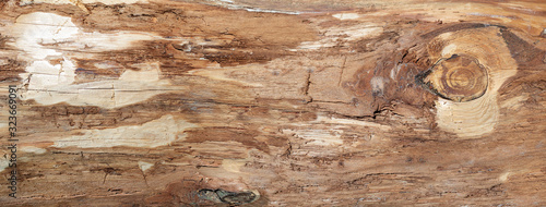 Grobe braune Holzstruktur der Oberfläche eines Baumstammes ohne Rinde in Nahaufnahme - Panorama