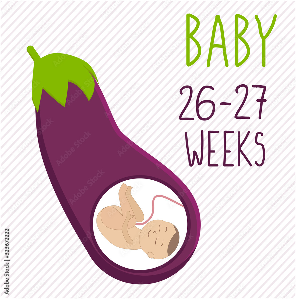 Eggplant. pregnancy development, size of embryo for 2627 weeks
