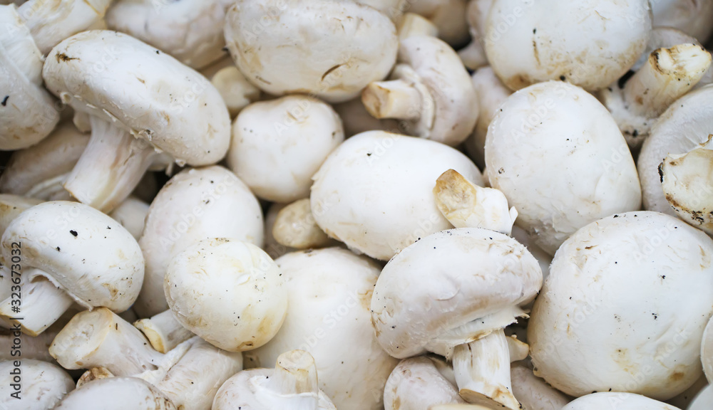 Close-up view of organic champignons in supermarket. Close-up view of organic champignons in supermarket.