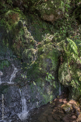 Waterfall New Zealand Pakuratahi Forest