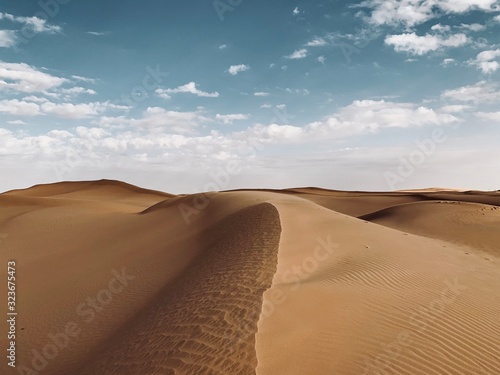 Arabian Desert