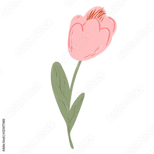 Single flower, leaf, plant, twig. Vector. doodle clipart. Isolated on a white background. For design, cards, invitation, decoration, stickers.