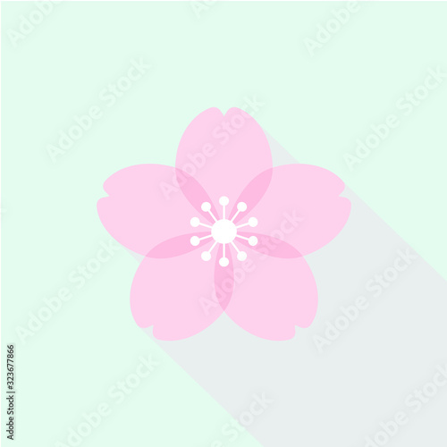 桜・お花見・合格イメージ素材：ピンク色のかわいい桜の花（パステルブルー背景）