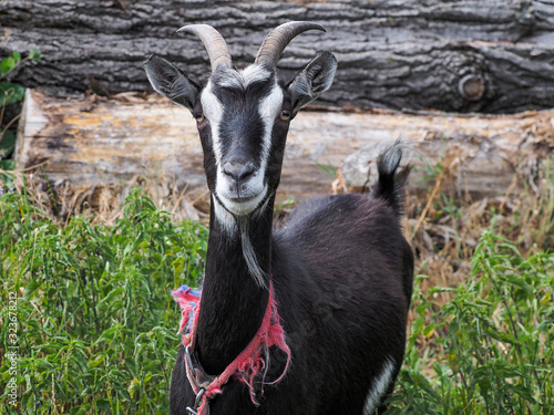 Fototapeta Naklejka Na Ścianę i Meble -  OLYMPUS DIGITAL CAMERA