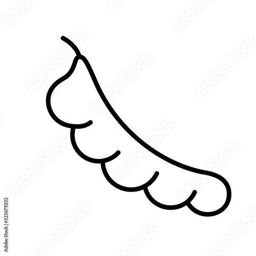 Tamarind icon. Line art logo of beans. Black simple illustration of curved bean pod. Contour isolated vector image on white background. Symbol for gardening and agriculture