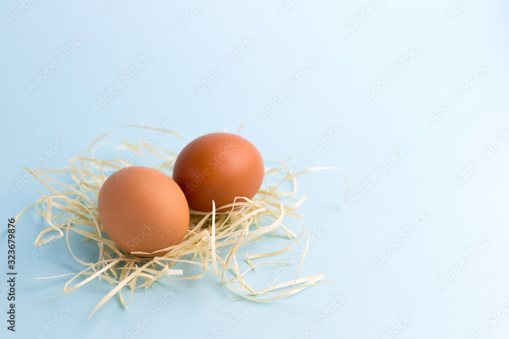 Two Brown Chicken eggs in a Small Nest on the bright blue background. Farm natural products, food or Easter concept. Top view, flat lay Two Brown Chicken eggs in a Small Nest on the bright blue background. Farm natural products, food or Easter concept. Top view, flat lay