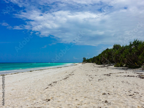 Fototapeta Naklejka Na Ścianę i Meble -  Ocean coast with white sand and seaweed, Zanzibar, Tanzania