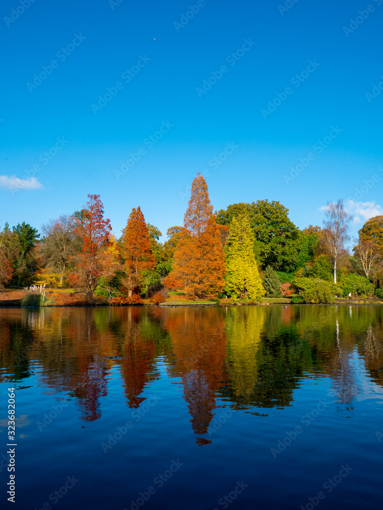 Autumn landscape beautiful colored trees over the lake glowing in sunlight. wonderful picturesque background.