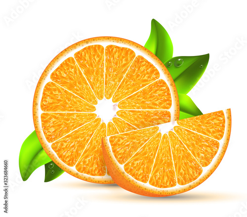 Two slices of citrus with green leaves. Highly realistic illustration.