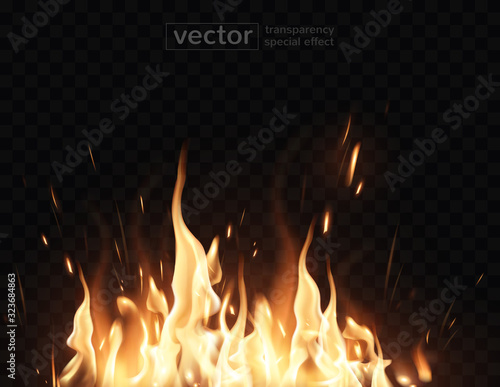 Burning fire.The effect of transparency. Highly realistic illustration.