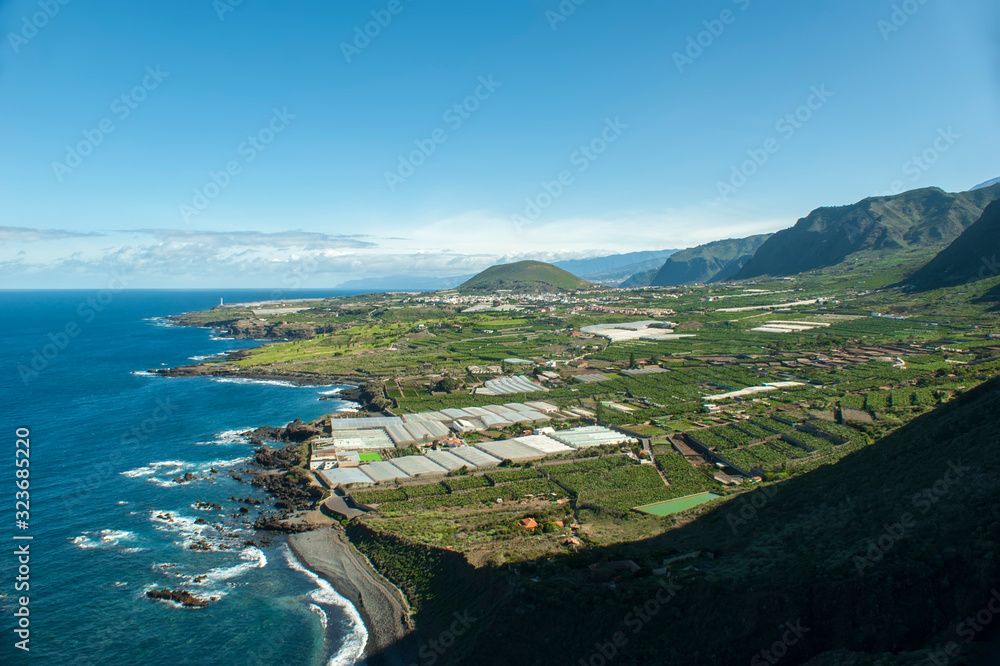 Obraz premium West coast of Tenerife. Mirador la Monja. Multi-tiered gardens. Extensive cactus and banana plantations. Picturesque mountainside.