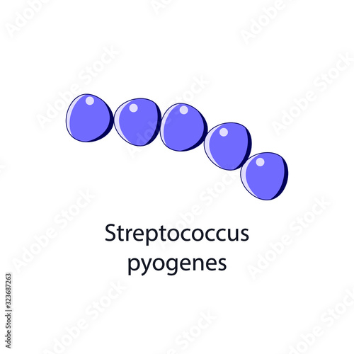 Streptococcus pyogenes. Bacterial microorganism. Vector illustration isolated on white.