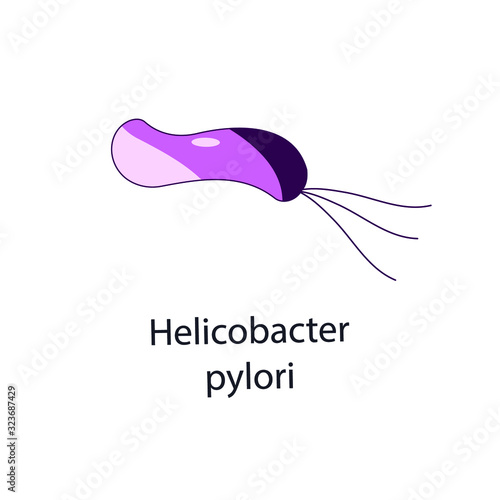 Helicobacter pylori. Bacterial microorganism. Vector illustration isolated on white.