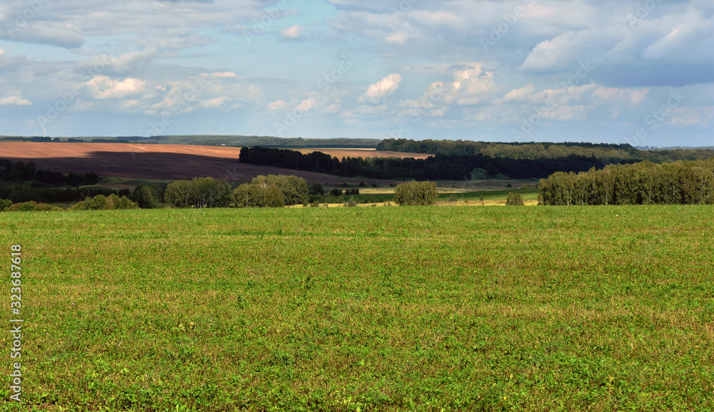 landscape with wheat field and blue sky landscape with wheat field and blue sky