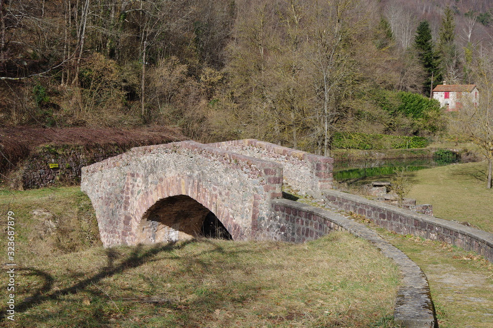 Vieux pont de pierre médiéval dans la montagne des pyrénées en vallespir