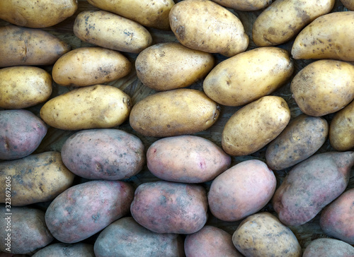 Close-up of the different potatoes after harvesting