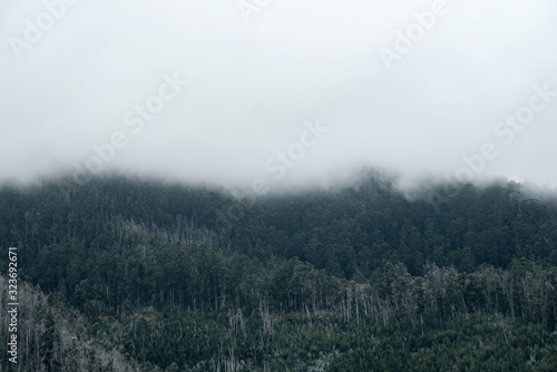 fog in the mountains photo wallpaper