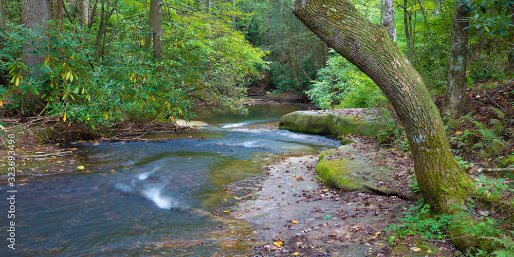 Fototapeta premium Rocky stream in North Carolina