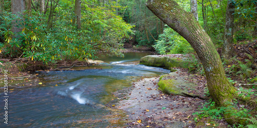 Rocky stream in North Carolina