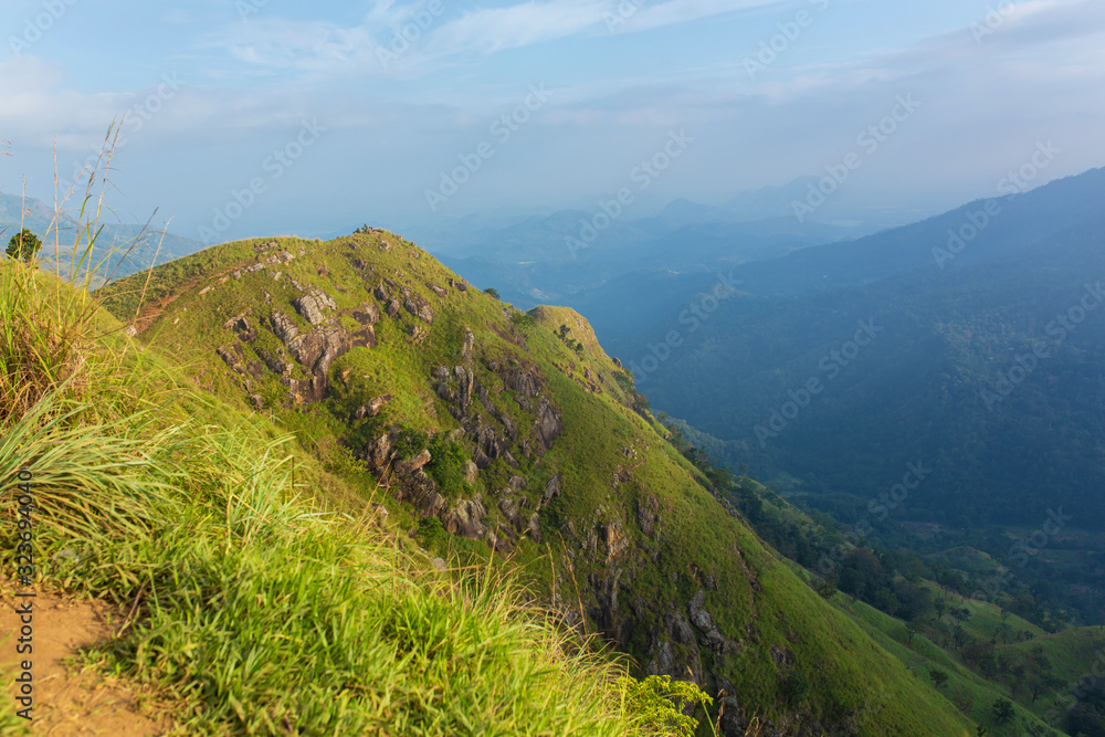 Fototapeta premium Mountain landscape, green slopes. Beauty of mountains. Little Adam peak, mountain in the fog view from the jungle