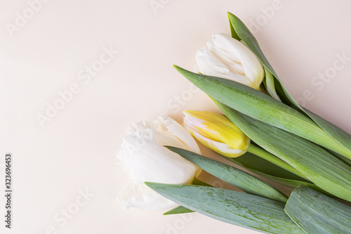 Pink and purple hyacinths and white and yellow tulips on light background. The concept of holiday, celebration, women's day, spring. Background natural image, suitable for banner, postcard. Copyspace.