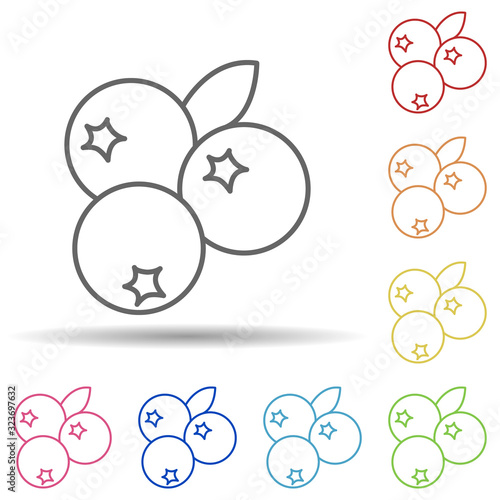 Blueberries in multi color style icon. Simple thin line, outline vector of fruit icons for ui and ux, website or mobile application
