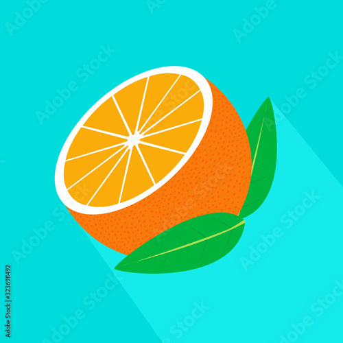 Vector realistic half orange with long shadow. Fresh and juicy orange. Fruit illustration with flat design.