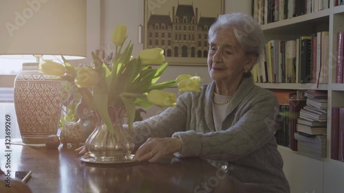 Zoom in close shot of (90) old joyful woman at home sitting in the living room taking care of her flowers pot, yellow tulips, and house plants during sunset with golden light passing trough the window