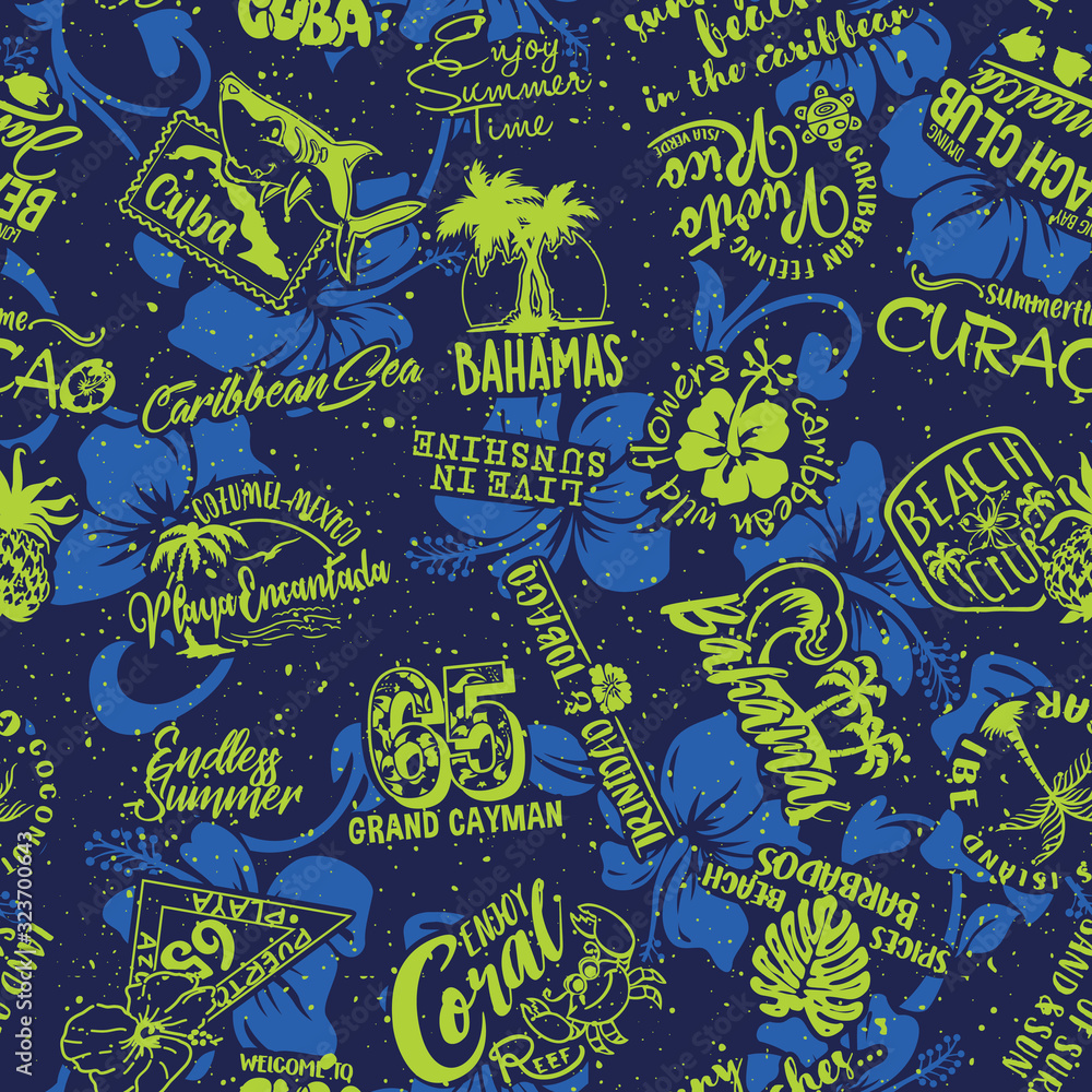 Cute Caribbean islands graphic labels collection with hibiscus background vector seamless pattern