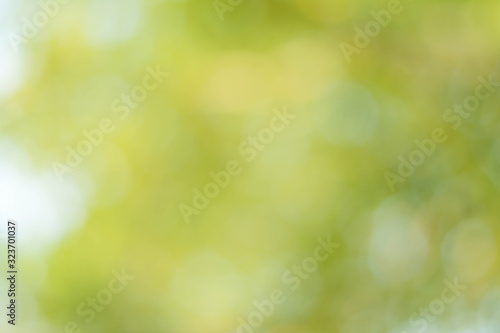 Spring abstract background, blurred sun light - bokeh. Green, yellow and white dots.