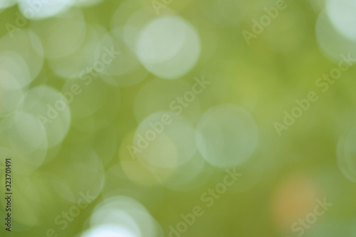 Background Green Olive Bokeh