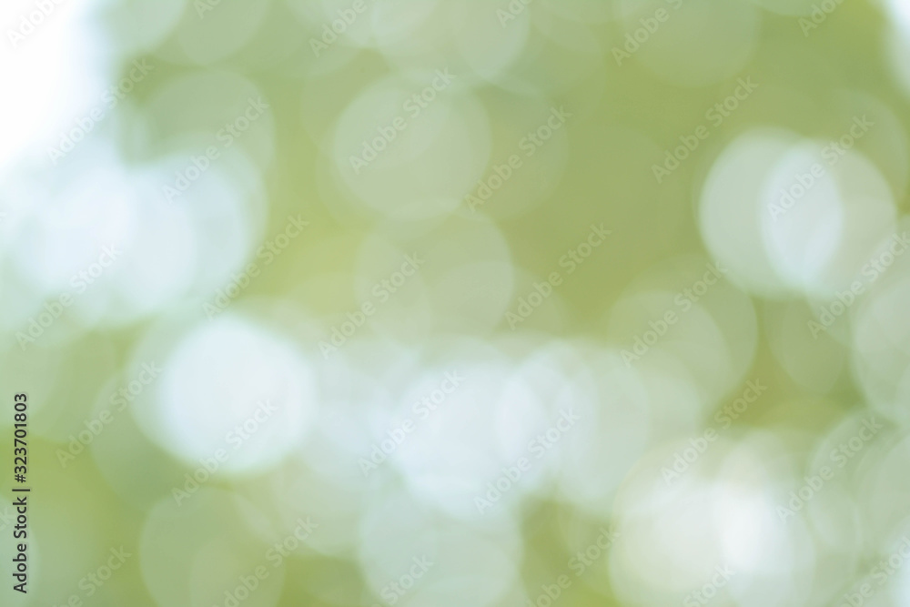Obraz premium Background Green Olive Bokeh