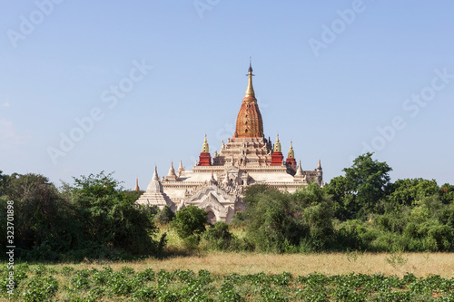 Bagan. Ancient pagoda in Bagan, Myanmar. Old buddhist stupa and green bushes on clear day.