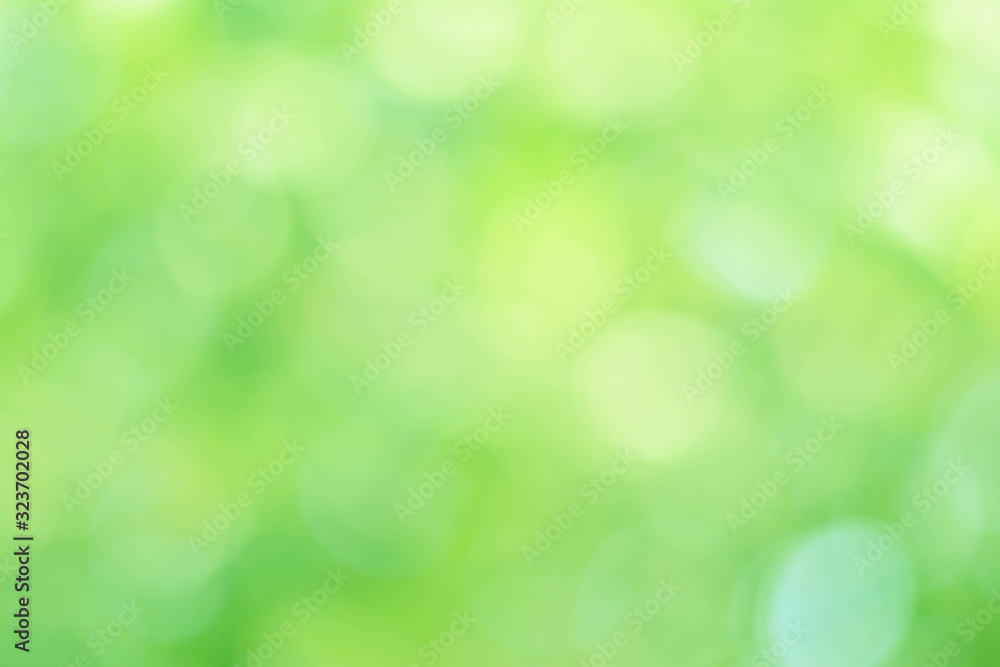 Background Green Olive Bokeh