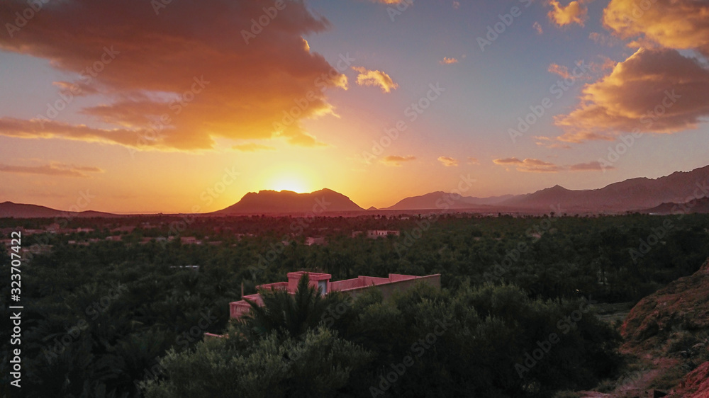 Obraz premium Desert oasis 