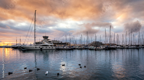 Alba al Porto