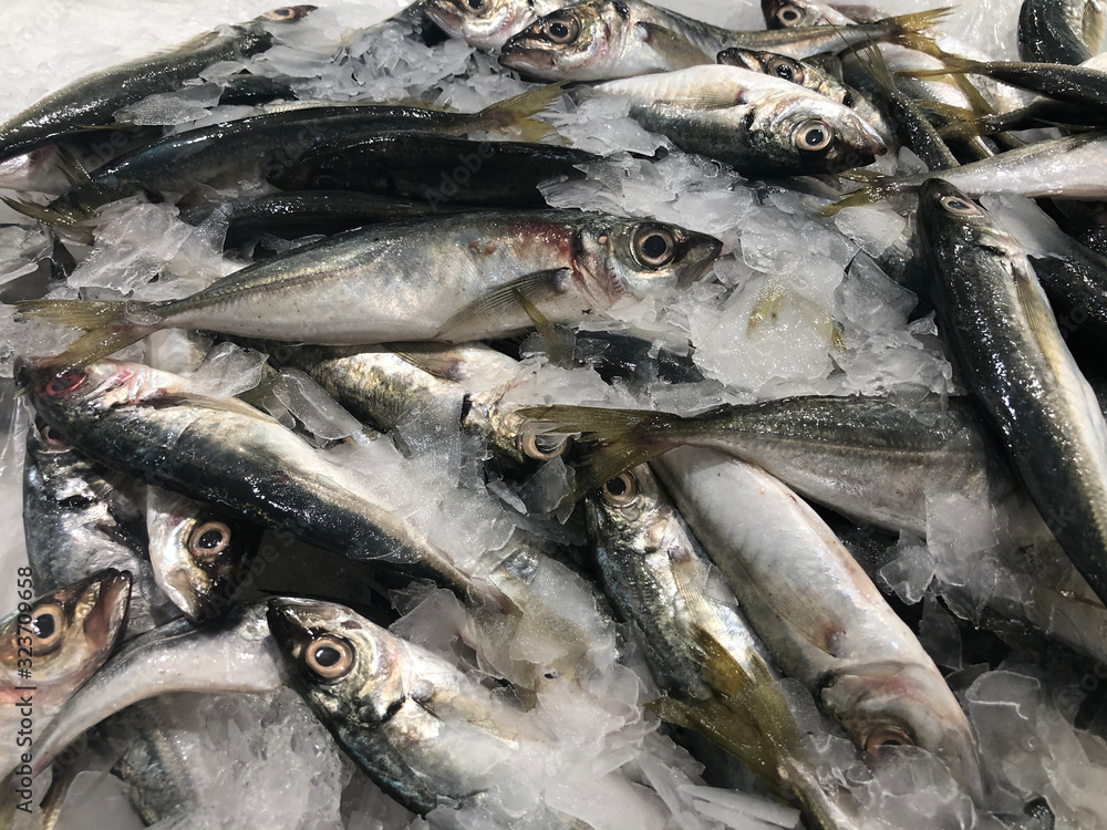 Chilled jack mackerels at the market counter