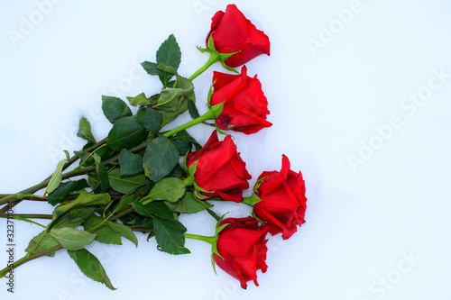 bouquet of red roses on white background