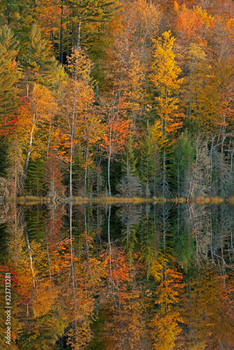 Autumn landscape of Scout Lake with mirrored reflections of colorful foliage in calm water, Hiawatha National Forest, Michigan's Upper Peninsula, USA