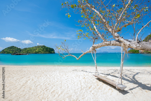 Wooden swing hang under tree at Koh Phak Bia Island  Krabi  Thailand. Travel destination and nature environment concept   summer holiday background.