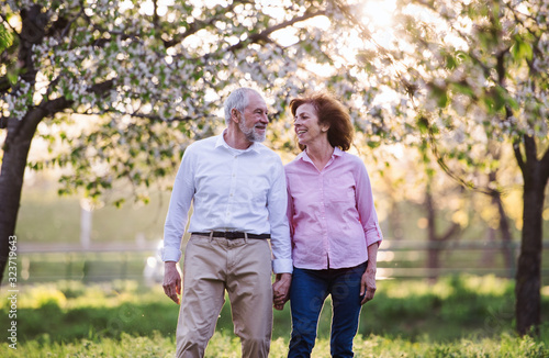 Beautiful senior couple in love outside in spring nature, walking.