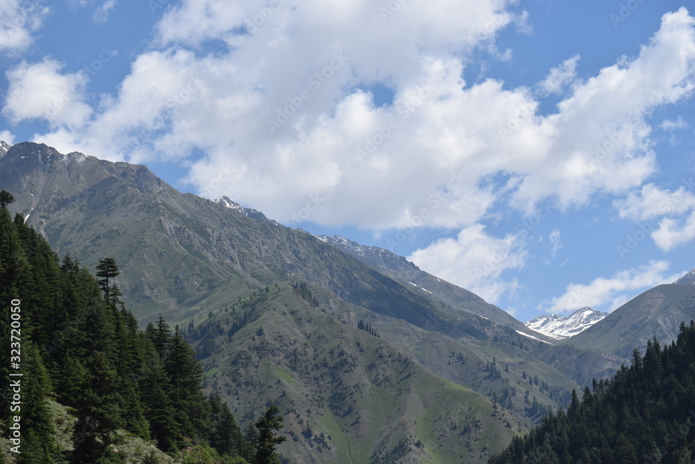 Fototapeta premium mountains in the alps