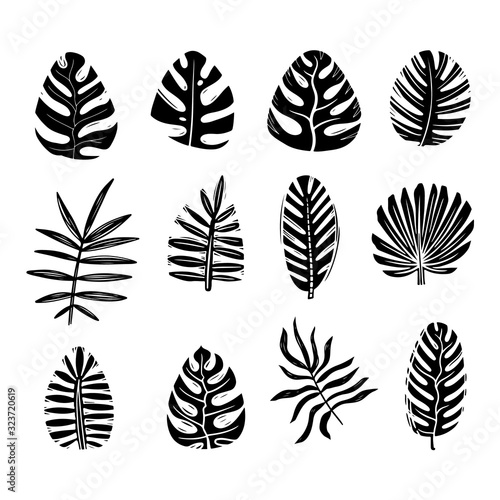 Exotic palm leaves monochrome silhouette illustrations set