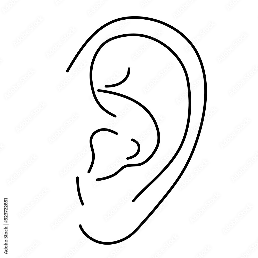 Human ear from black contour curves lines on white background. Vector illustration. Human ear from black contour curves lines on white background. Vector illustration.