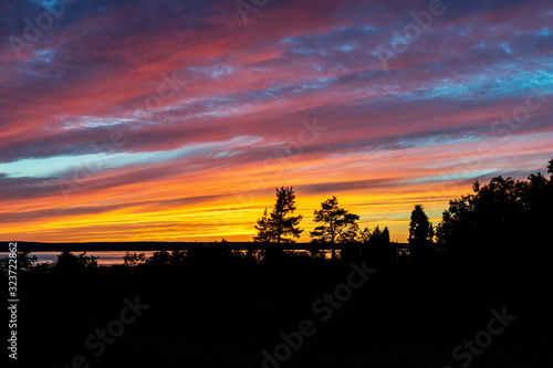 Beautiful pink and orange sky with silhouettes of trees